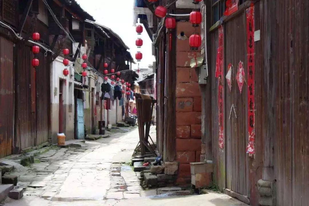 看到别人把两只狗从车上扔掉，她选择了这样做...